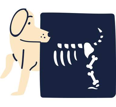 illustration of dog getting an x-ray