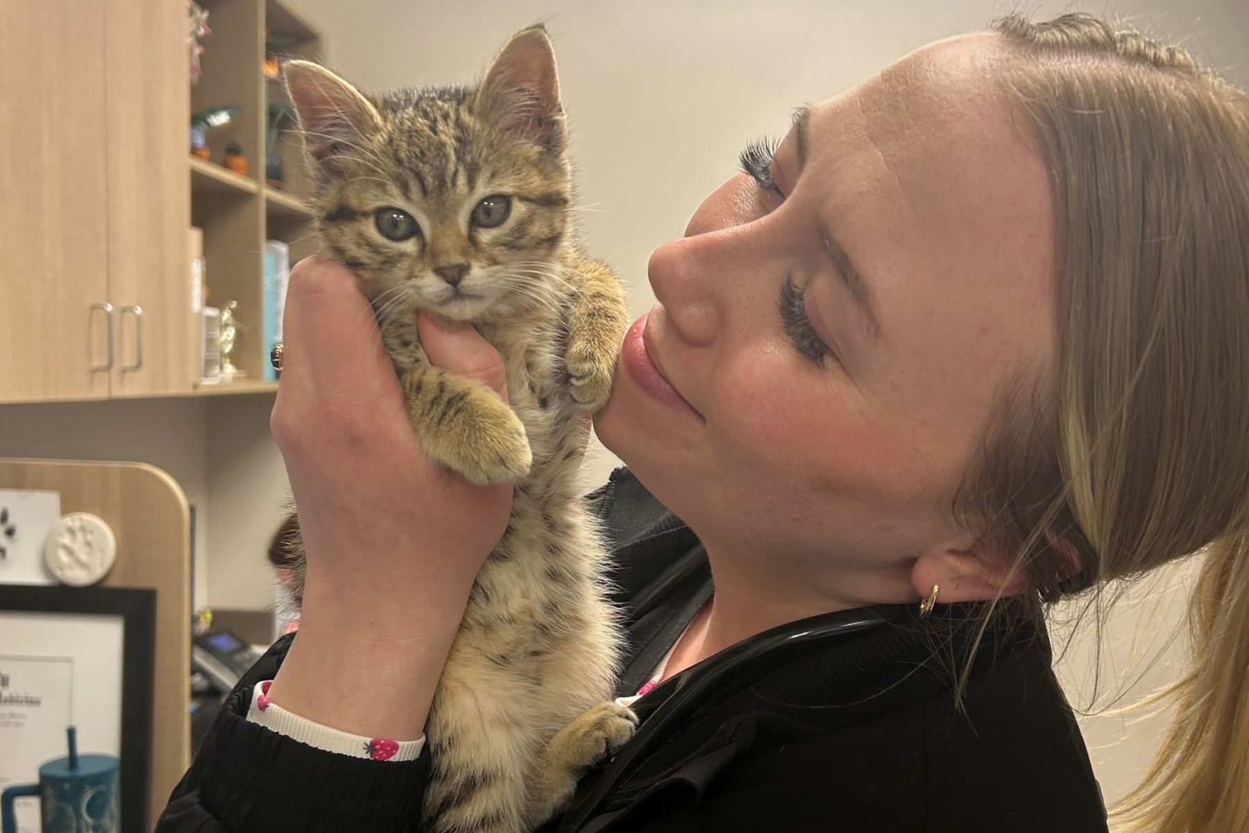 Stonebridge Cat Friendly Vet staff holding a cat
