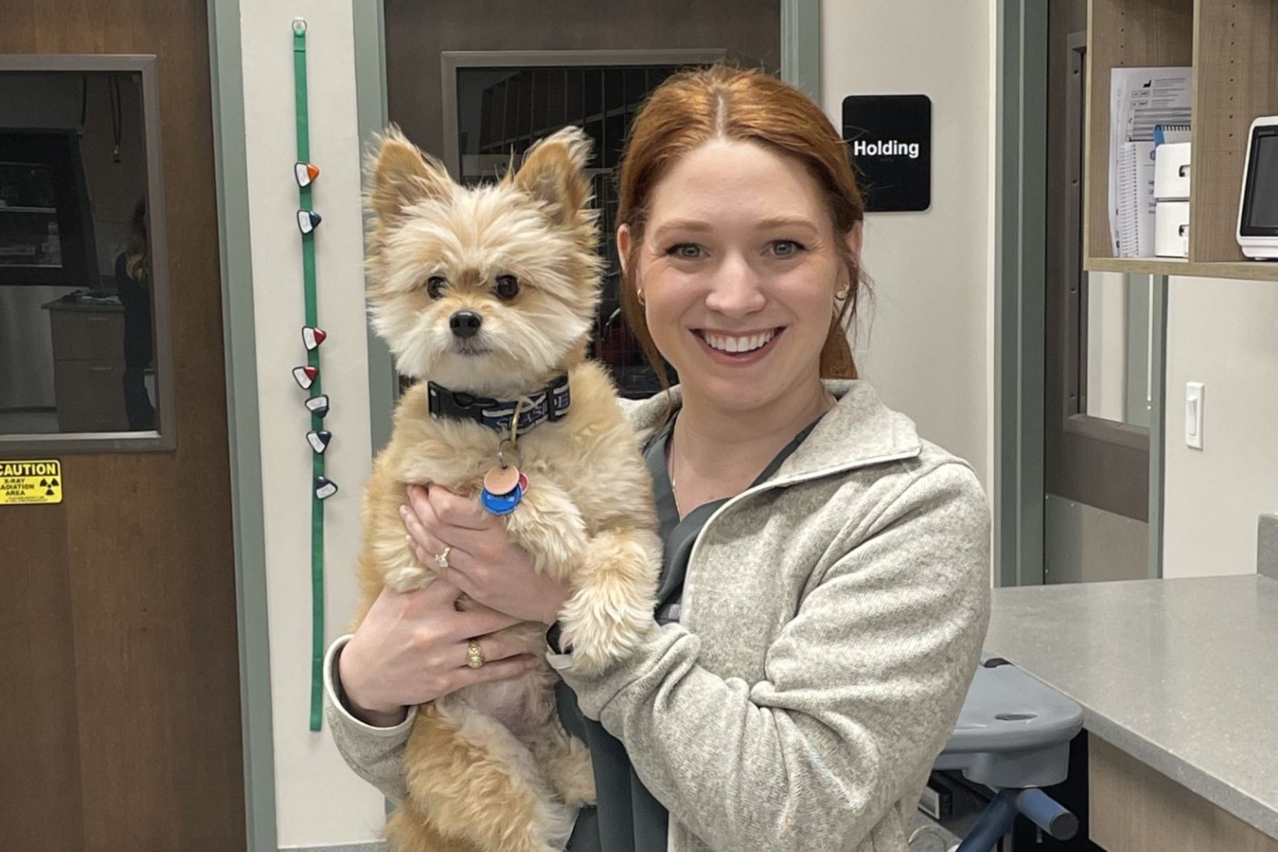 Stonebridge Wellness Care Vet holding a dog