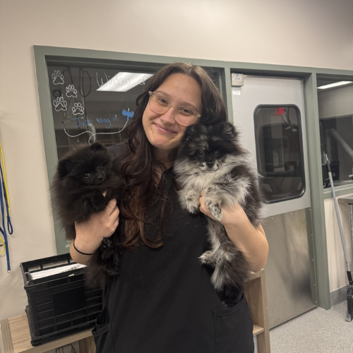 vet staff hugging a dog