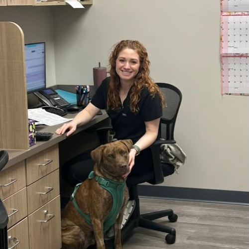 Stonebridge Carousel 3