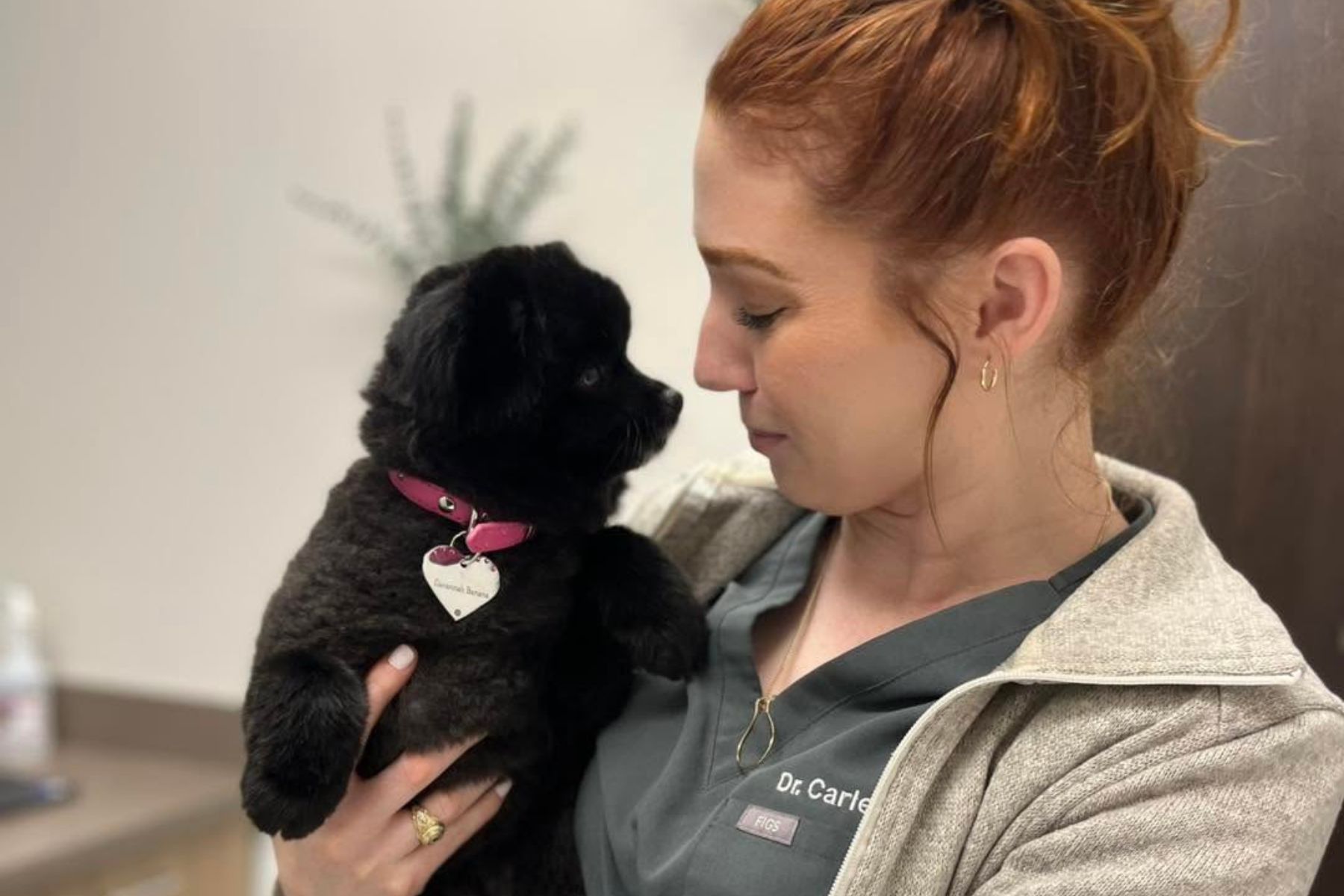 A woman gently cradles a small black puppy in her arms