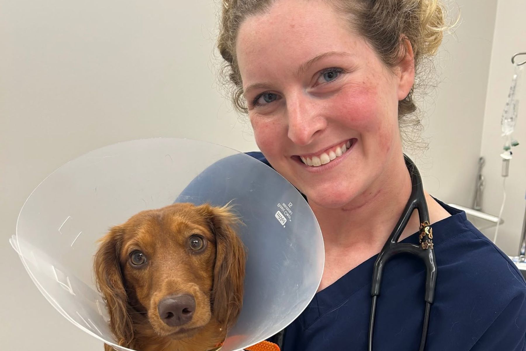 A woman in scrubs gently holds a dog wearing a cone around its head